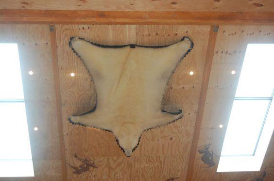 DSC_0003 [50%] [50%].JPG